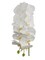 Set of 3 White Silk Phalaenopsis Orchid Stems - 41" Lifelike Flowers with Green Buds - Elegant Floral Accents for Home Decor, Events, and Centerpieces by Floral Home by Artificial Flowers